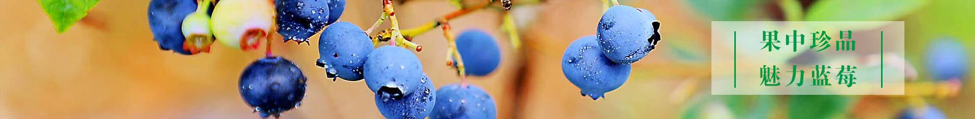 金沙990线路检测(集团)有限公司官网